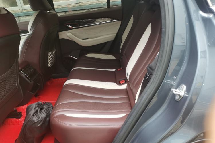 Used Geely Auto Monjaro L 2021 2.0TD DCT EVO Two-Wheel Drive Prestige Version Left Rear Seat