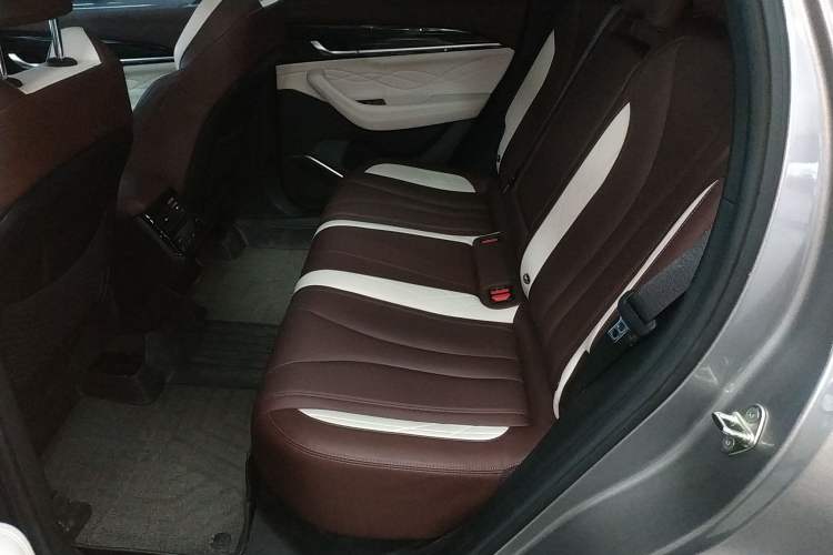 Used Geely Auto Monjaro L 2021 2.0TD DCT EVO Two-Wheel Drive Smart Luxury Version Left Rear Seat