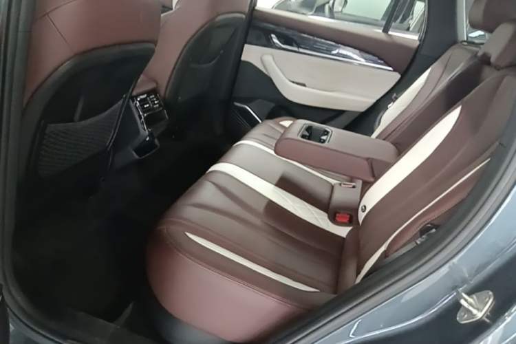 Used Geely Auto Monjaro L 2021 2.0TD DCT EVO Two-Wheel Drive Prestige Version Left Rear Seat