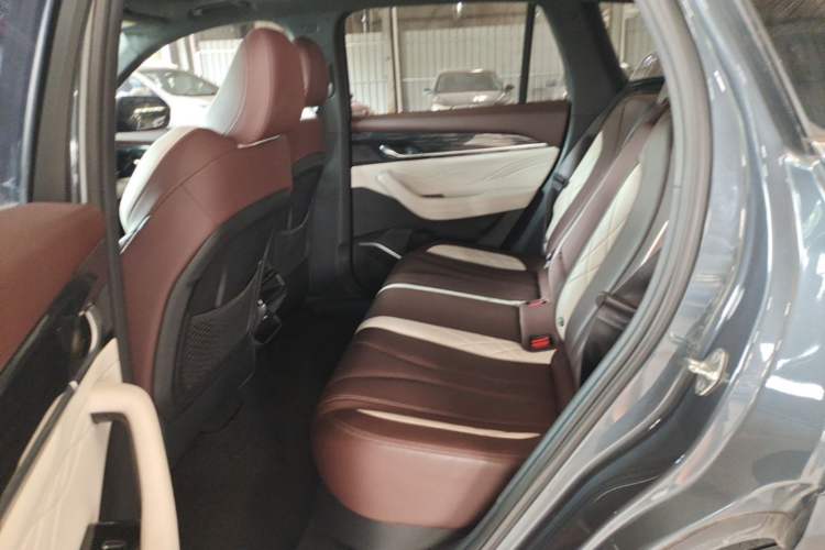 Used Geely Auto Monjaro L 2021 2.0TD DCT EVO Two-Wheel Drive Prestige Version Left Rear Seat