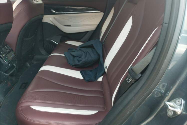 Used Geely Auto Monjaro L 2021 2.0TD DCT EVO Two-Wheel Drive Smart Luxury Version Left Rear Seat