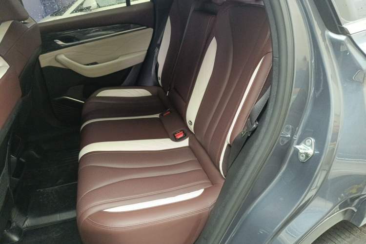 Used Geely Auto Monjaro L 2021 2.0TD DCT EVO Two-Wheel Drive Prestige Version Left Rear Seat