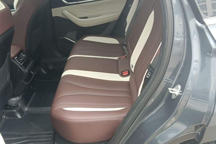 Used Geely Auto Monjaro L 2021 2.0TD DCT EVO Two-Wheel Drive Prestige Version Left Rear Seat
