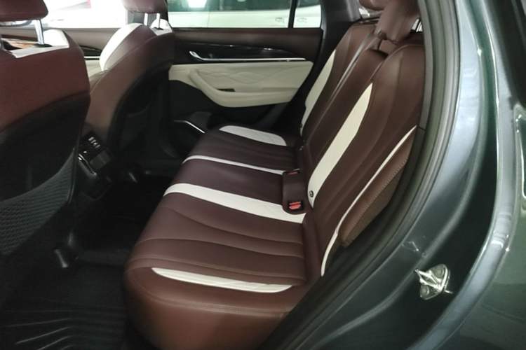 Used Geely Auto Monjaro L 2021 2.0TD DCT EVO Two-Wheel Drive Smart Luxury Version Left Rear Seat