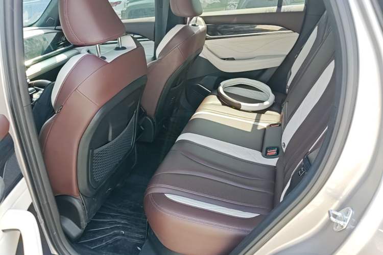 Used Geely Auto Monjaro L 2021 2.0TD DCT EVO Two-Wheel Drive Prestige Version Left Rear Seat