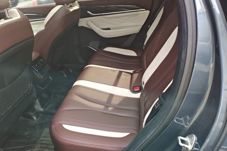 Used Geely Auto Monjaro L 2021 2.0TD DCT EVO Two-Wheel Drive Smart Luxury Version Left Rear Seat