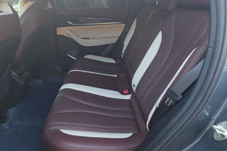 Used Geely Auto Monjaro L 2021 2.0TD DCT EVO Two-Wheel Drive Smart Luxury Version Left Rear Seat