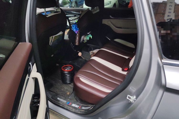 Used Geely Auto Monjaro L 2021 2.0TD High-Power Automatic All-Wheel-Drive Flagship Version Left Rear Seat