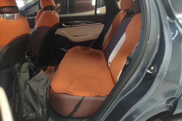 Used Geely Auto Monjaro L 2021 2.0TD DCT EVO Two-Wheel Drive Prestige Version Left Rear Seat