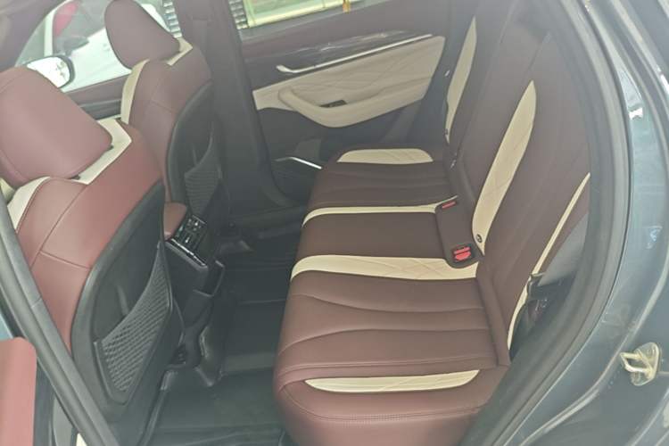 Used Geely Auto Monjaro L 2021 2.0TD DCT EVO Two-Wheel Drive Smart Luxury Version Left Rear Seat