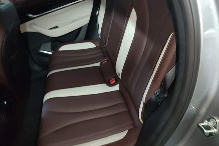 Used Geely Auto Monjaro L 2021 2.0TD DCT EVO Two-Wheel Drive Prestige Version Left Rear Seat