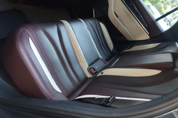 Used Geely Auto Monjaro L 2021 2.0TD DCT EVO Two-Wheel Drive Prestige Version Left Rear Seat