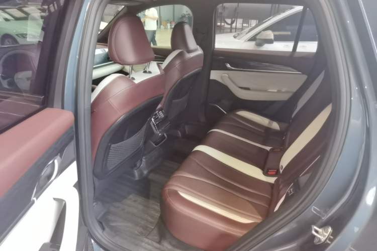 Used Geely Auto Monjaro L 2021 2.0TD DCT EVO Two-Wheel Drive Prestige Version Left Rear Seat