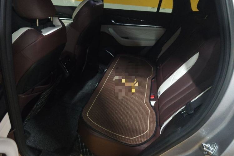 Used Geely Auto Monjaro L 2021 2.0TD DCT EVO Two-Wheel Drive Prestige Version Left Rear Seat