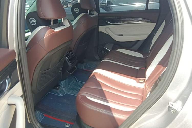 Used Geely Auto Monjaro L 2021 2.0TD DCT EVO Two-Wheel Drive Prestige Version Left Rear Seat