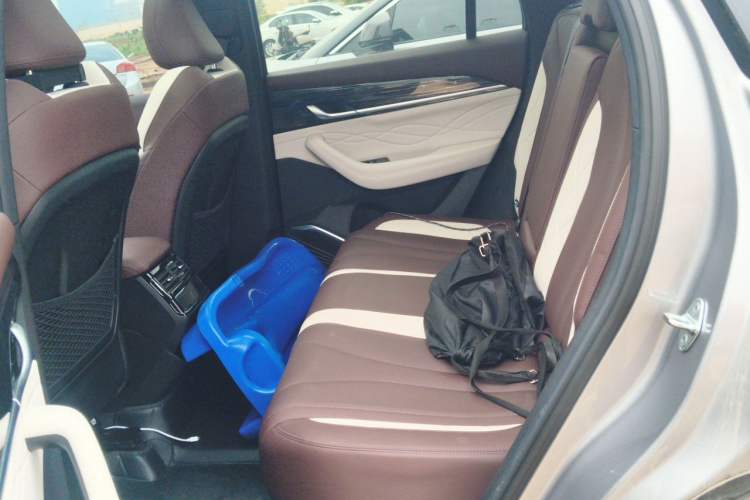 Used Geely Auto Monjaro L 2021 2.0TD DCT EVO Two-Wheel Drive Smart Luxury Version Left Rear Seat