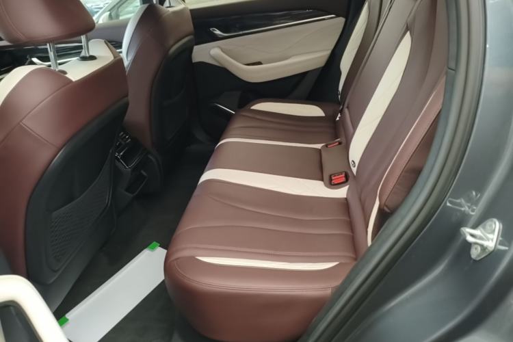 Used Geely Auto Monjaro L 2021 2.0TD DCT EVO Two-Wheel Drive Prestige Version Left Rear Seat