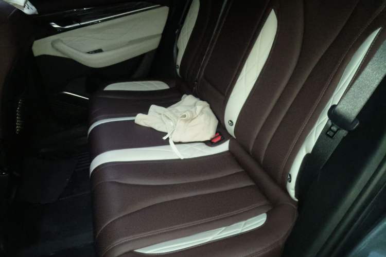 Used Geely Auto Monjaro L 2021 2.0TD DCT EVO Two-Wheel-Drive Flagship Version Left Rear Seat