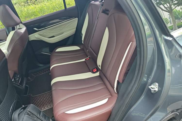 Used Geely Auto Monjaro L 2021 2.0TD DCT EVO Two-Wheel Drive Prestige Version Left Rear Seat