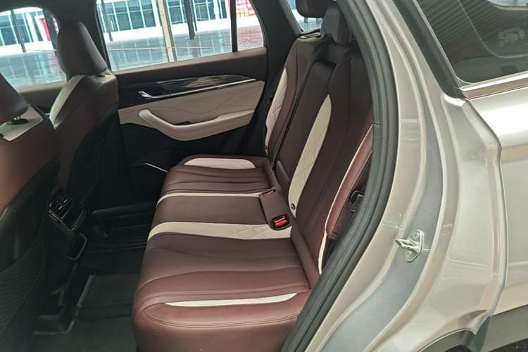 Used Geely Auto Monjaro L 2021 2.0TD DCT EVO Two-Wheel Drive Prestige Version Left Rear Seat