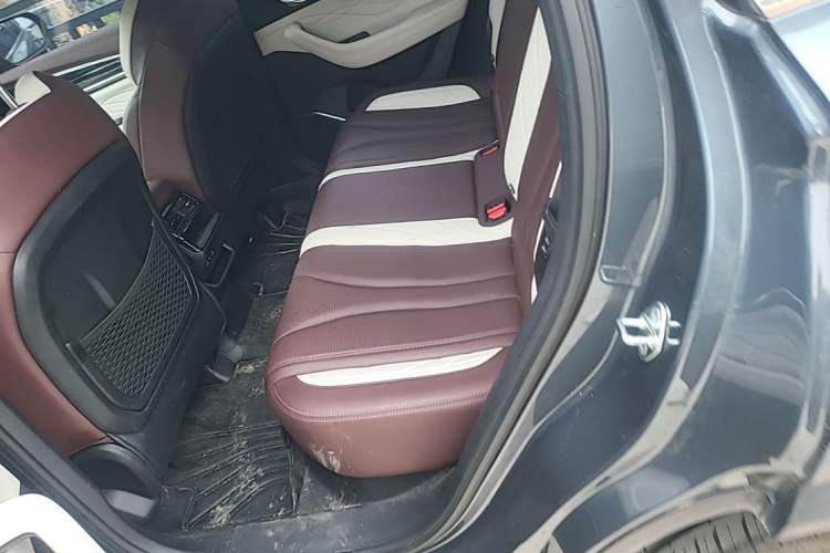 Used Geely Auto Monjaro L 2021 2.0TD DCT EVO Two-Wheel Drive Prestige Version Left Rear Seat