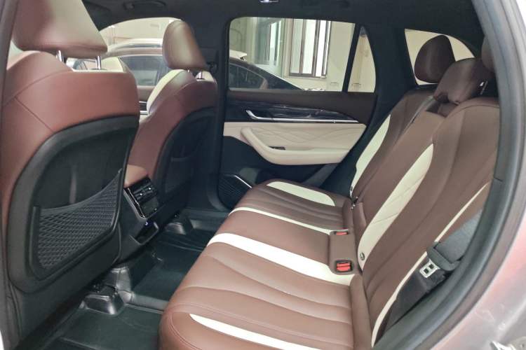 Used Geely Auto Monjaro L 2021 2.0TD DCT EVO Two-Wheel Drive Smart Luxury Version Left Rear Seat