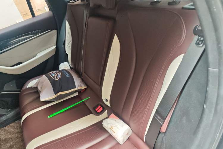 Used Geely Auto Monjaro L 2021 2.0TD DCT EVO Two-Wheel Drive Prestige Version Left Rear Seat