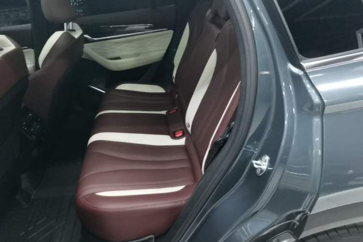 Used Geely Auto Monjaro L 2021 2.0TD DCT EVO Two-Wheel Drive Smart Luxury Version Left Rear Seat