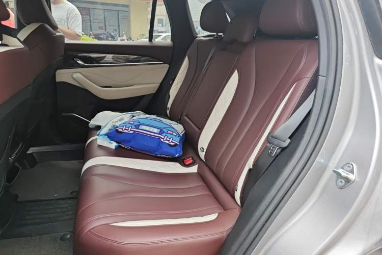 Used Geely Auto Monjaro L 2021 2.0TD DCT EVO Two-Wheel Drive Prestige Version Left Rear Seat