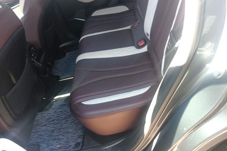 Used Geely Auto Monjaro L 2021 2.0TD DCT EVO Two-Wheel Drive Prestige Version Left Rear Seat