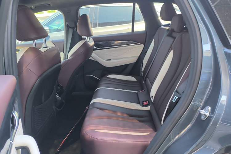 Used Geely Auto Monjaro L 2021 2.0TD DCT EVO Two-Wheel Drive Prestige Version Left Rear Seat