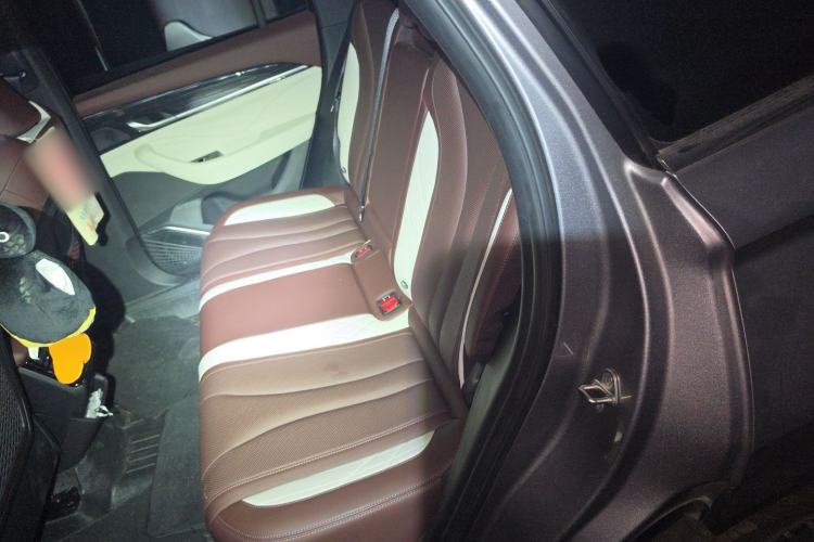 Used Geely Auto Monjaro L 2021 2.0TD DCT EVO Two-Wheel Drive Smart Luxury Version Left Rear Seat