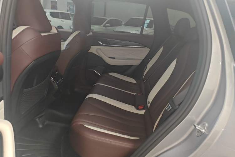 Used Geely Auto Monjaro L 2021 2.0TD High-Power Automatic All-Wheel-Drive Flagship Version Left Rear Seat