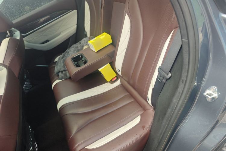 Used Geely Auto Monjaro L 2021 2.0TD DCT EVO Two-Wheel Drive Prestige Version Left Rear Seat