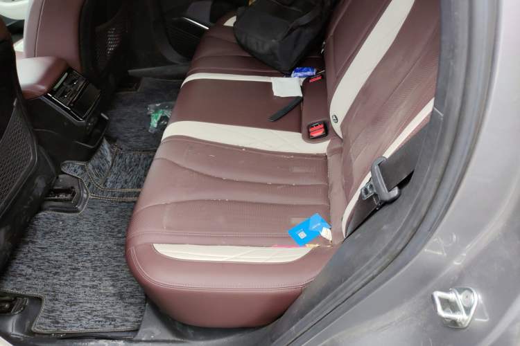 Used Geely Auto Monjaro L 2021 2.0TD DCT EVO Two-Wheel Drive Smart Luxury Version Left Rear Seat