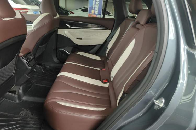 Used Geely Auto Monjaro L 2021 2.0TD DCT EVO Two-Wheel Drive Smart Luxury Version Left Rear Seat