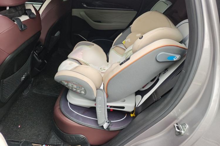 Used Geely Auto Monjaro L 2021 2.0TD DCT EVO Two-Wheel Drive Smart Luxury Version Left Rear Seat
