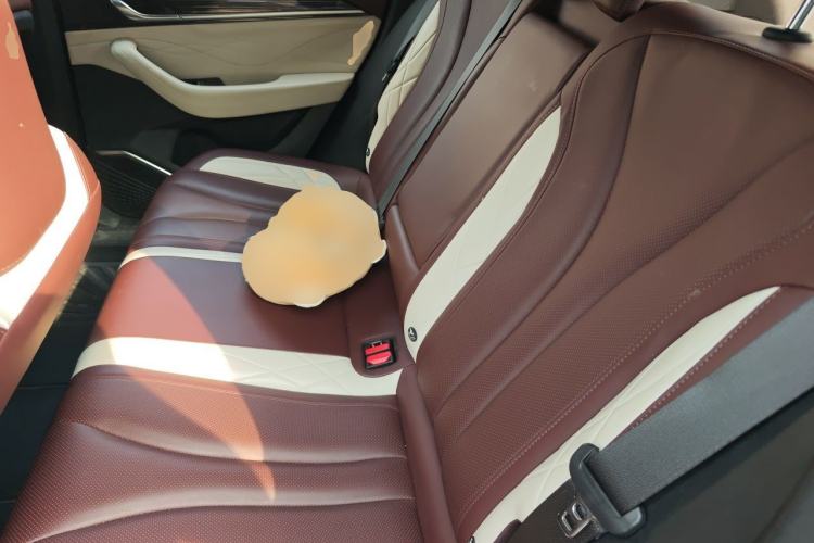 Used Geely Auto Monjaro L 2021 2.0TD DCT EVO Two-Wheel Drive Prestige Version Left Rear Seat