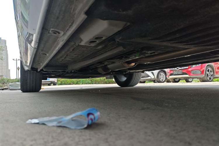 Used Geely Auto Monjaro L 2021 2.0TD DCT EVO Two-Wheel Drive Prestige Version Left Side Sill