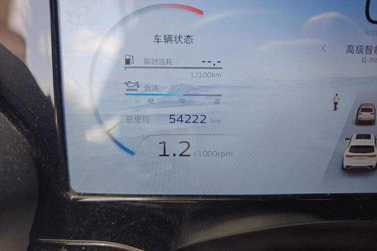Used Geely Auto Monjaro L 2021 2.0TD DCT EVO Two-Wheel Drive Prestige Version Odometer Close Up