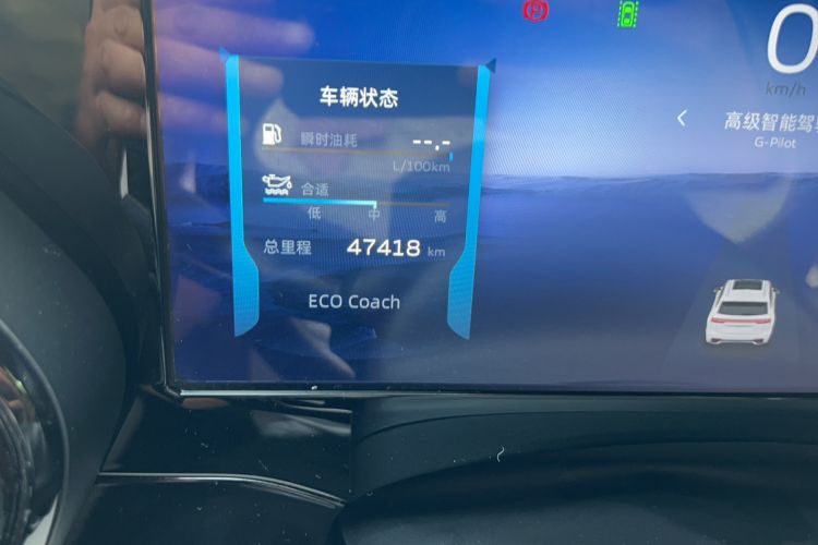 Used Geely Auto Monjaro L 2021 2.0TD DCT EVO Two-Wheel Drive Prestige Version Odometer Close Up