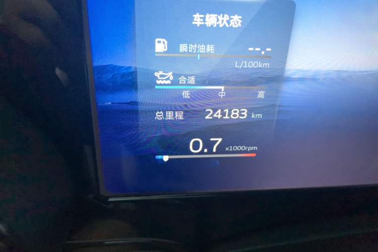 Used Geely Auto Monjaro L 2021 2.0TD DCT EVO Two-Wheel Drive Prestige Version Odometer Close Up