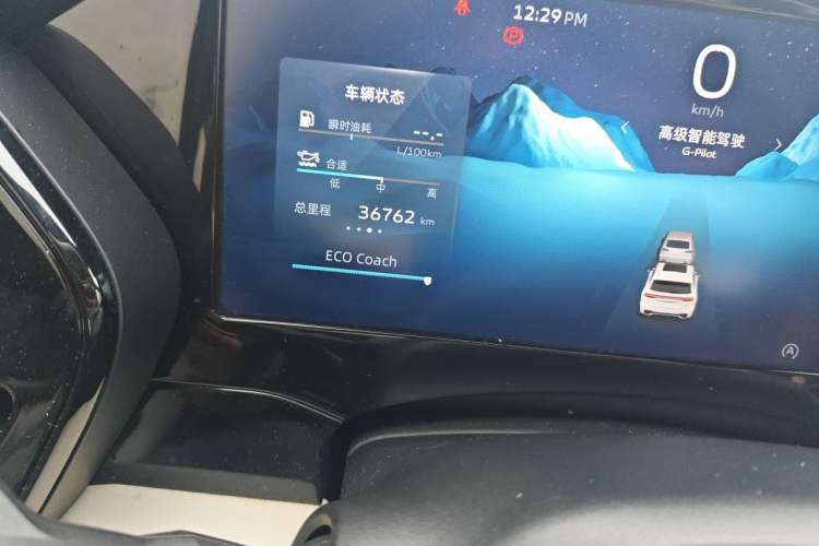 Used Geely Auto Monjaro L 2021 2.0TD DCT EVO Two-Wheel Drive Prestige Version Odometer Close Up