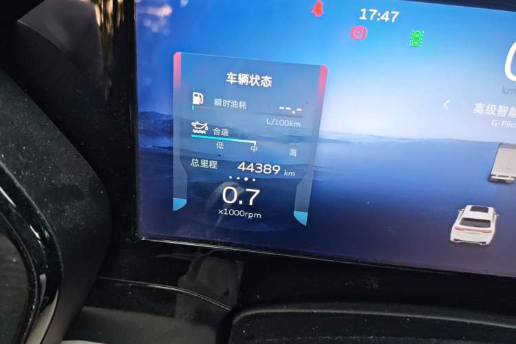 Used Geely Auto Monjaro L 2021 2.0TD High-Power Automatic All-Wheel-Drive Flagship Version Odometer Close Up