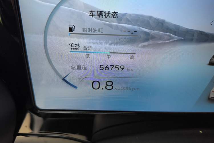 Used Geely Auto Monjaro L 2021 2.0TD DCT EVO Two-Wheel Drive Prestige Version Odometer Close Up