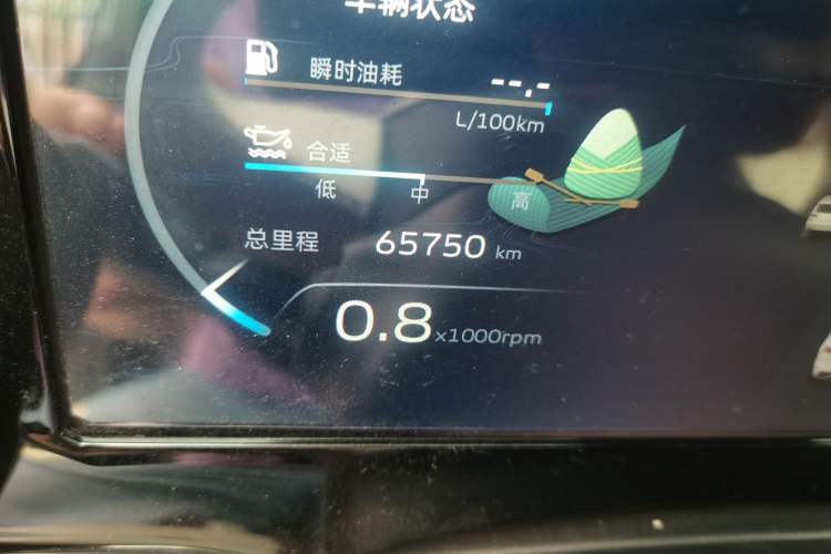Used Geely Auto Monjaro L 2021 2.0TD DCT EVO Two-Wheel Drive Prestige Version Odometer Close Up