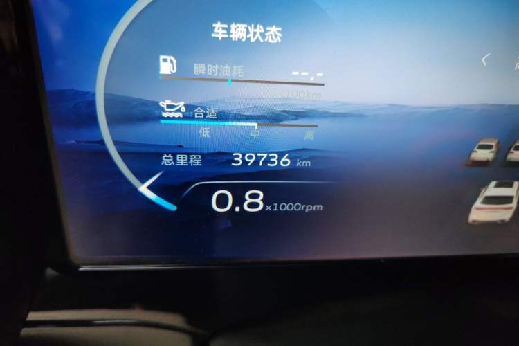 Used Geely Auto Monjaro L 2021 2.0TD High-Power Automatic All-Wheel-Drive Flagship Version Odometer Close Up