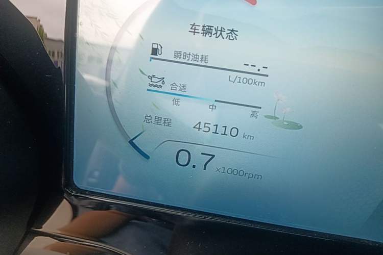 Used Geely Auto Monjaro L 2021 2.0TD DCT EVO Two-Wheel Drive Prestige Version Odometer Close Up