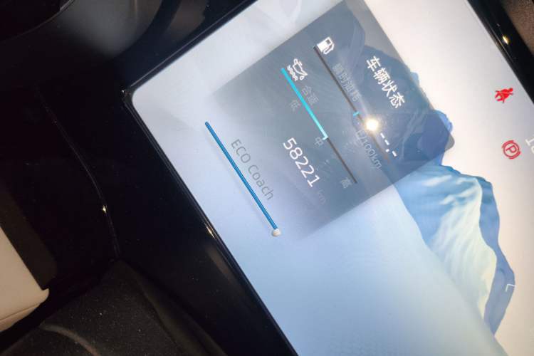Used Geely Auto Monjaro L 2021 2.0TD DCT EVO Two-Wheel Drive Prestige Version Odometer Close Up
