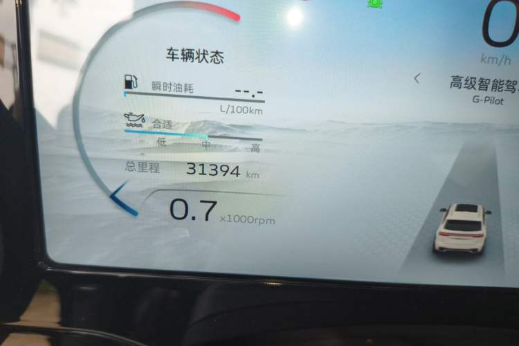 Used Geely Auto Monjaro L 2021 2.0TD DCT EVO Two-Wheel Drive Smart Luxury Version Odometer Close Up